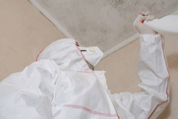Best Post-Flood Mold Remediation in Channelview, TX